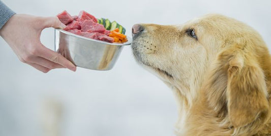 How much RAW Food for your dog?